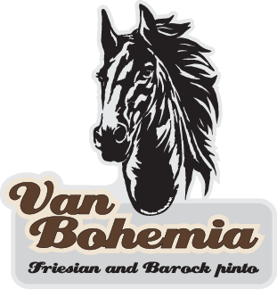 Van Bohemia – Friesian & Barock Pinto horses